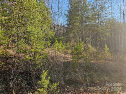 0 Gold Creek Point 09 sold home in High Lodges At Otter Creek, Union Mills, NC