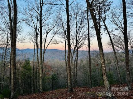 75 Raccoon Run active home in French Broad Crossing, Marshall, NC