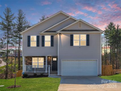 119 Colt Street sold home in Hamrick Farms, Candler, NC