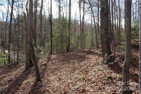 0 Sweetbriar Road 72 sold home in Sweetbriar Farms, Lake Lure, NC