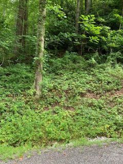 Lot 45 46 Mckenzie Way active home in Gateway Mountain, Old Fort, NC