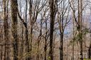 99999 Old Forest Drive 1C sold home in Asheville, SC