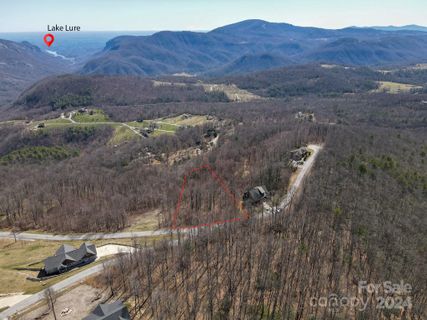 1233 Grand Oaks Drive sold home in Grand Oaks, Hendersonville, NC