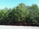 17 Cottonfield Circle Lot #17 sold home in Waxhaw, SC