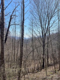 000 Trotters Trail sold home in Hills Of Cataloochee, Waynesville, NC