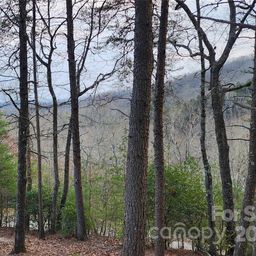 Lot 34 Wilderness Creek Way