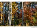 Lot 40 Havencrest Drive sold home in Denver, SC