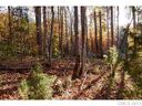 Lot 41 Havencrest Drive sold home in Denver, SC