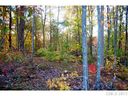 Lot 5 Ridgemont Drive sold home in Denver, SC