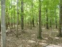 Lot 17 Pimlico Lane sold home in Waxhaw, SC