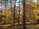 9262 Egret Ridge Drive 30 sold home in Belmont, SC