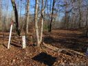 10 Saratoga Woods Drive sold home in Waxhaw, SC