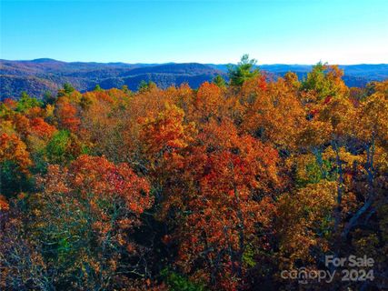 Homes in Dogwood Mountain Estates, Penrose