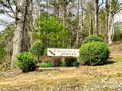 3114 Mountain Laurel Drive