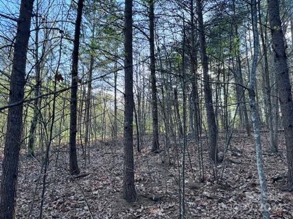 Tbd High Trail Drive 21B