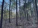 Tbd High Trail Drive 21B sold home in Nebo, SC