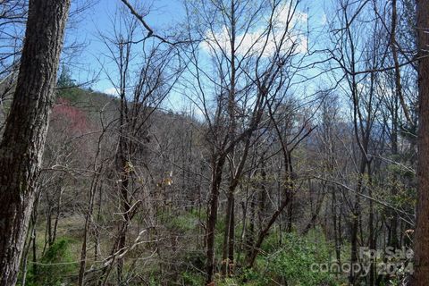 Homes in Chunns Crest, Asheville