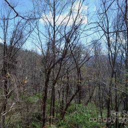 Lot 8 Town Mountain Road