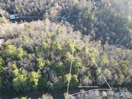 99999 Old Mt Olivet Road 1 & 2 sold home in Hickory Run, Zirconia, NC