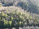 99999 Old Mt Olivet Road 1 & 2 sold home in Zirconia, SC