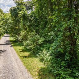 00 Troutman Trail