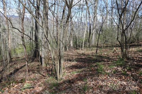 Tbd Butternut Trail sold home in Whispering Oaks, Waynesville, NC