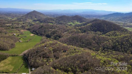 99999 Michele Lane sold home in Spring House Hills, Leicester, NC