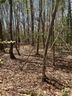 0 Fox Den Road sold home in Troy, SC