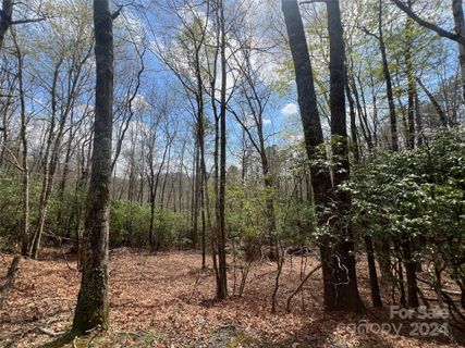 999 Sequoyah Woods Drive sold home in Sequoyah Woods, Brevard, NC
