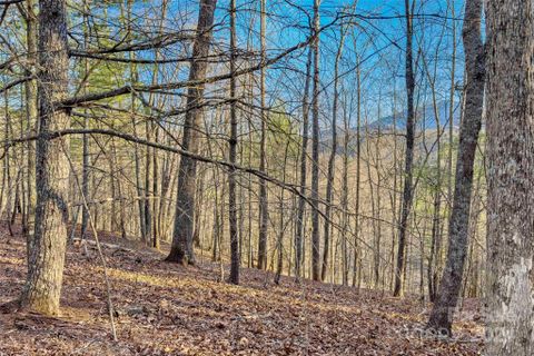 Lots 62 63 64 High Peak Drive sold home in River Crest, Burnsville, NC