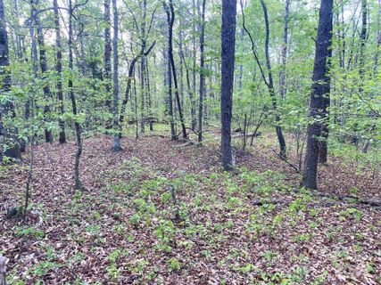 0 Beechwood Circle 34