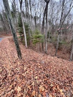 40 Bee Gum Ridge sold home in Fontana View, Almond, NC