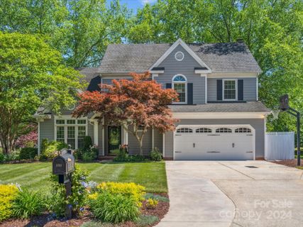 8501 Netherfield Court
