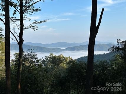 0000 Hemlock Grove Trail Lot 51