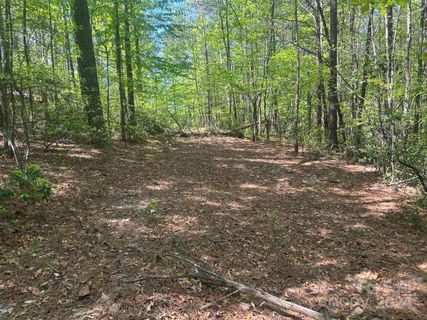 Lot 11 Pisgah Preserve Drive