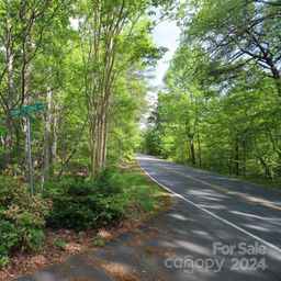 00 Buffalo Shoals Road