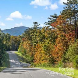 Lot 49 Bald Eagle Lane