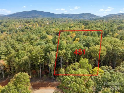 319 Cobbs Hill Court 451
