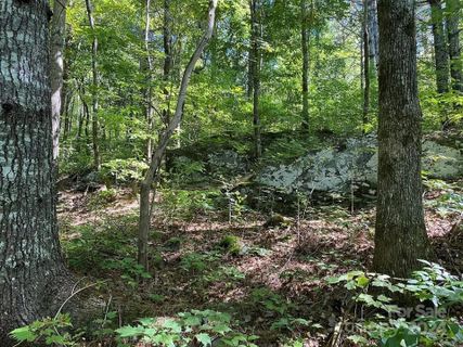 A home in Trillium Heights, Hayesville
