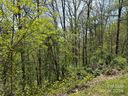 15 Waxwing Way sold home in Asheville, SC