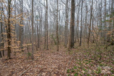 5069 Grassy Creek Road
