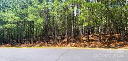 5485 Bridgewater Drive 243