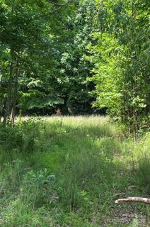 199 Cherry Hill None active home in Brights Creek, Mill Spring, NC