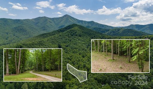 95 Treetops Drive pending home in Treetops, Candler, NC