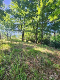 190 Stonefly Drive 157