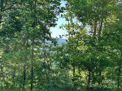 385 Wild River Run active home in French Broad Crossing, Marshall, NC