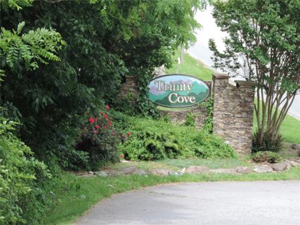Lot 14 Constitution Avenue #14 sold home in Trinity Cove, Waynesville, NC