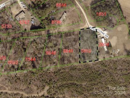Tbd Biggerstaff Loop sold home in Goldpytte, Nebo, NC