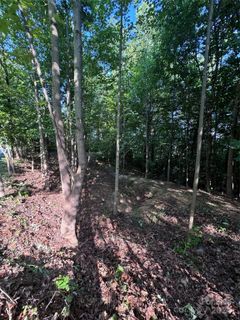 0 Holland Drive active home in The Sanctuary Of Tryon, Columbus, NC