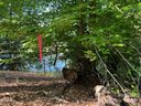 164 Greens Road sold home in Granite Falls, SC